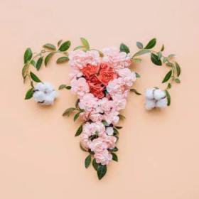 女性中医调理与养生