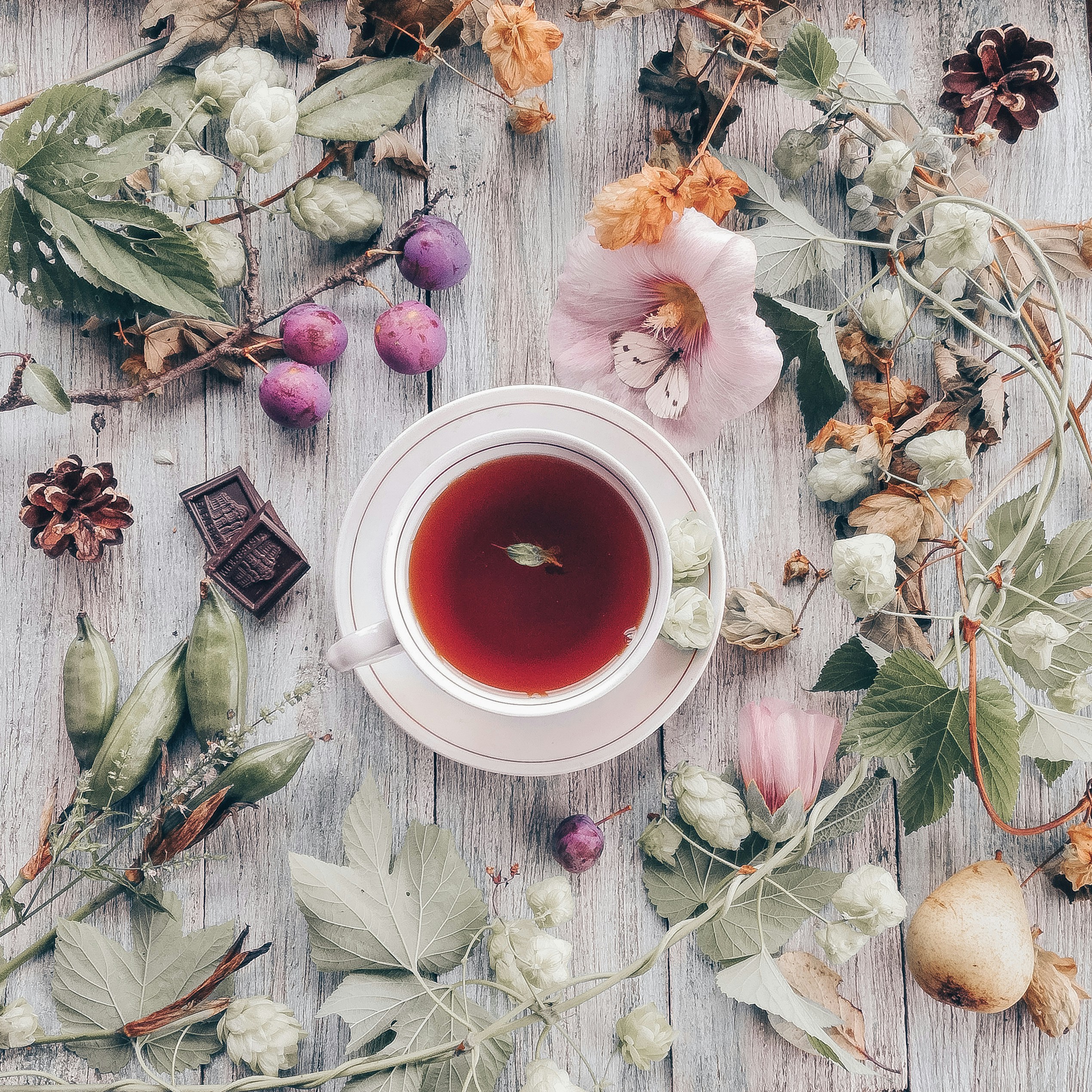 TCM Seasonal Wellness(Lifestyle Medicine)