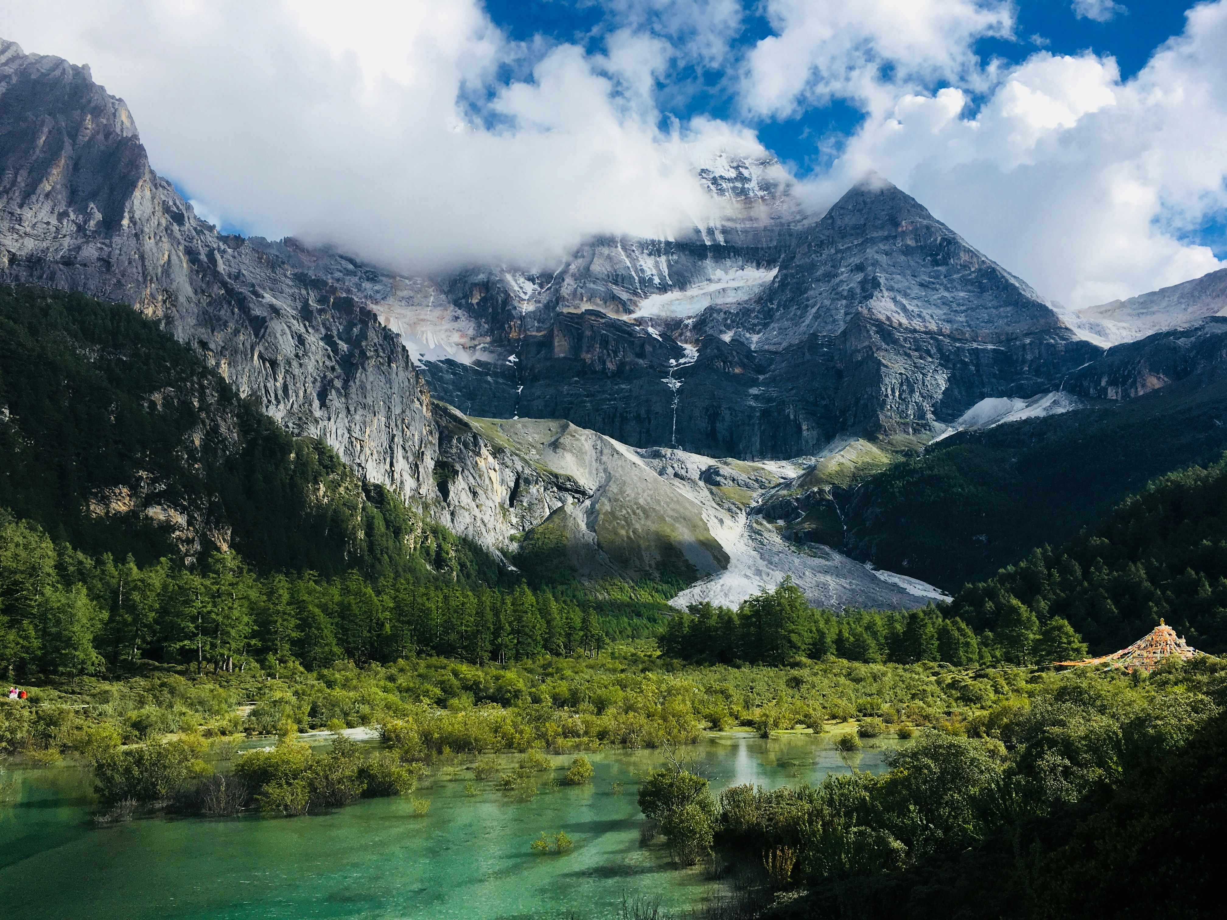 From complex care to wellness —all in one journey